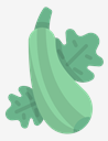 courgette