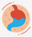 stomach