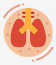 lungs