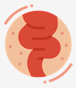 intestine