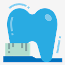 teeth