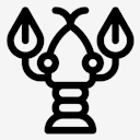 lobster