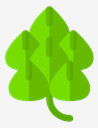 hop