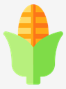 corn