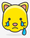 crying,cat,face