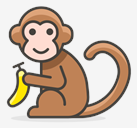 monkey