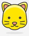 cat,face
