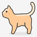 cat