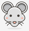 mouse,face