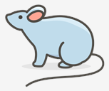 mouse