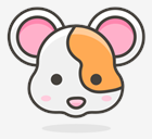 hamster,face
