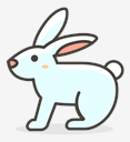 rabbit