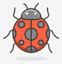 lady,beetle
