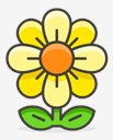 blossom