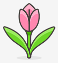 tulip
