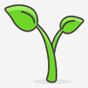 seedling