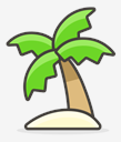 palm,tree
