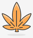 maple,leaf
