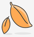 fallen,leaf