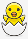 hatching,chick