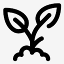 sprout