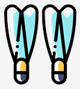 flippers