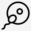 fertilization