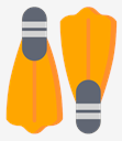 flipper