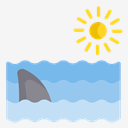 shark