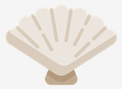 shell