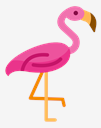 flamingo