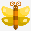 butterfly