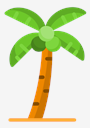 coconut,tree