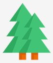 spruce
