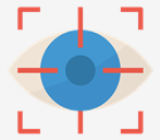 vision