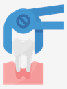 tooth