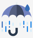 rain