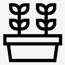 plants