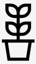 plant