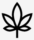 marijuana