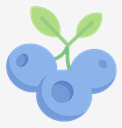 blueberry