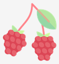 raspberry