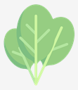 spinach