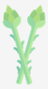 asparagus