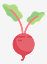 beet