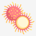 rambutan