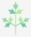parsley