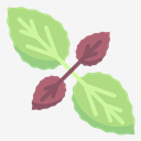 basil