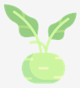 kohlrabi