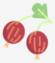 gooseberry